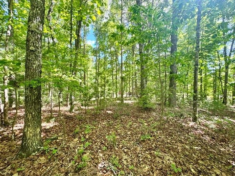 Vacant Land For Sale - LT 3 Rockridge Rd #3<br/> MURPHY, NC 28906