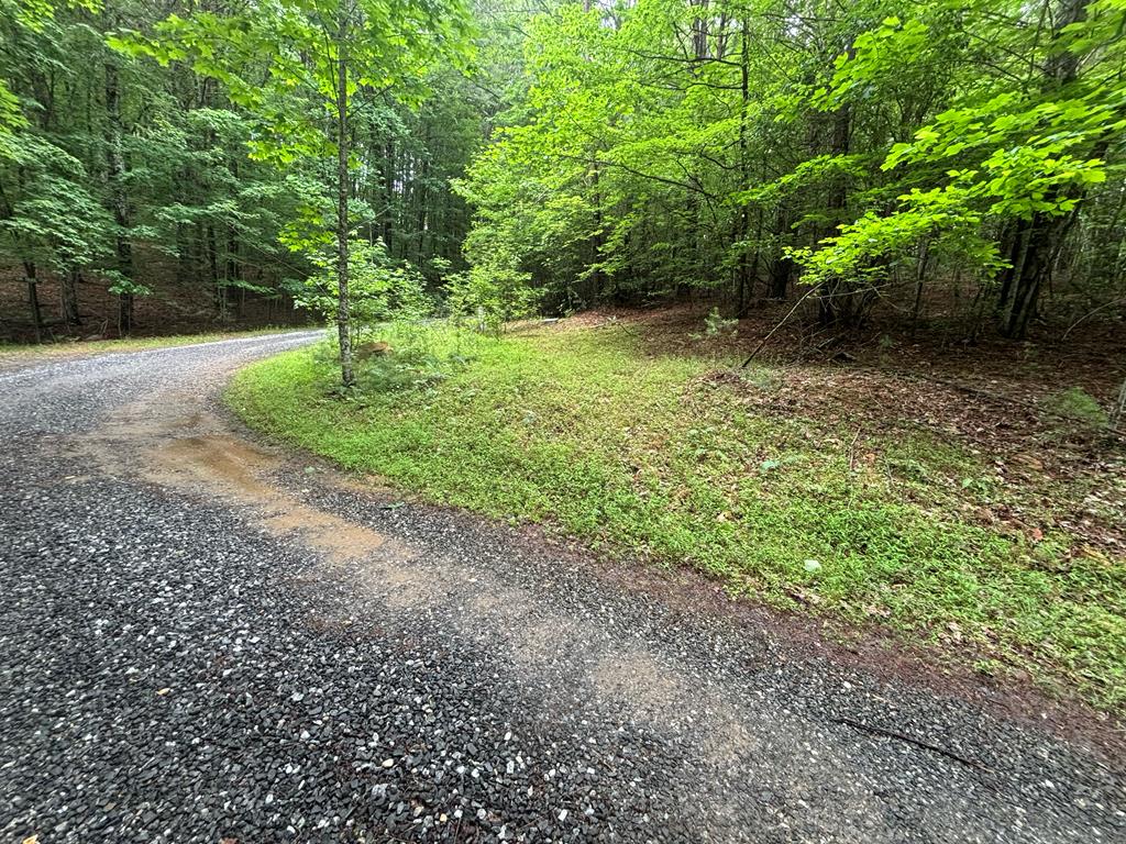 Photo 1 of 10 — Lot 3 Horse Camp Drive Unit Lot 3, HAYESVILLE, NC 28904