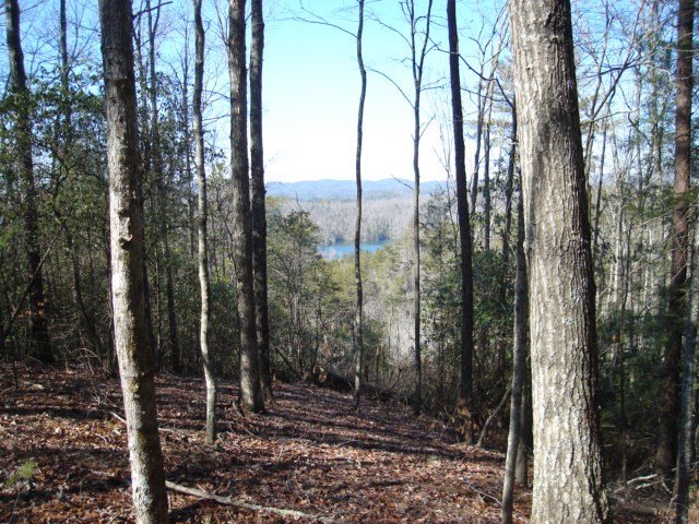 600 Berry Patch Road, MURPHY, North Carolina image 2