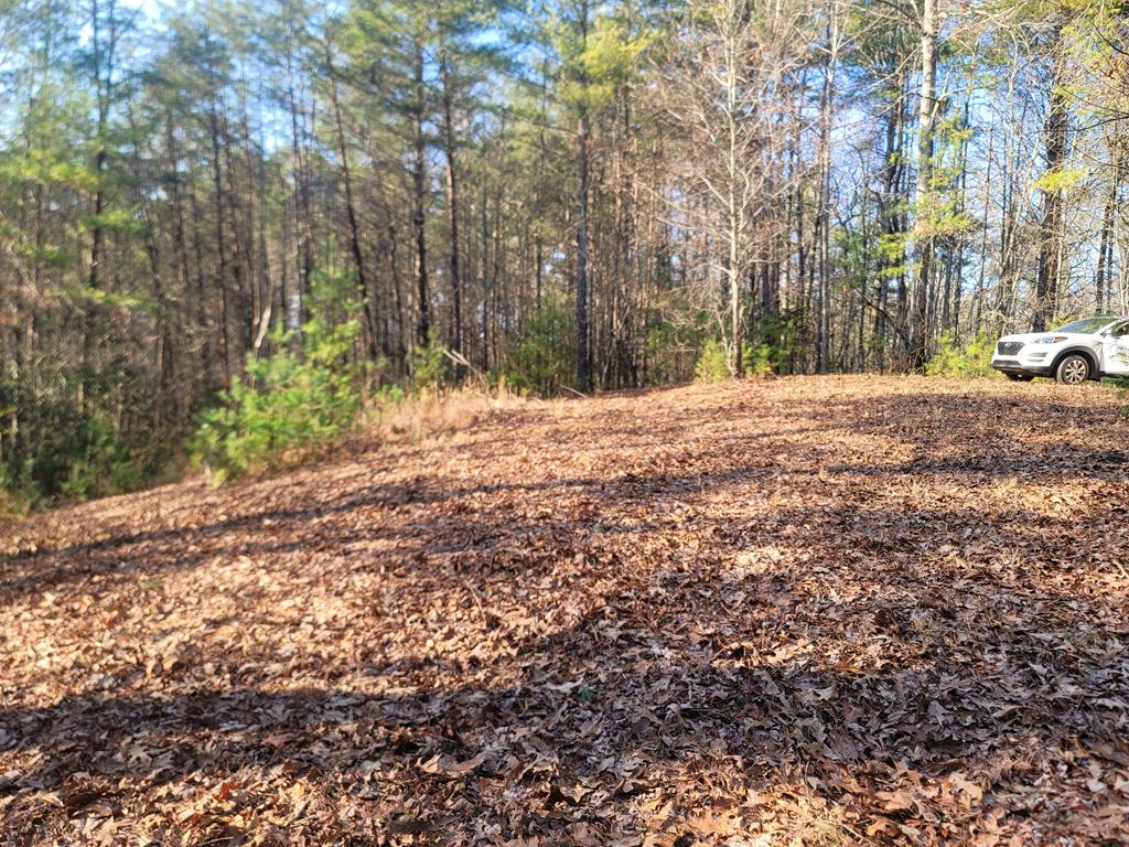 600 Berry Patch Road, MURPHY, North Carolina image 32