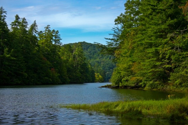 600 Berry Patch Road, MURPHY, North Carolina image 4