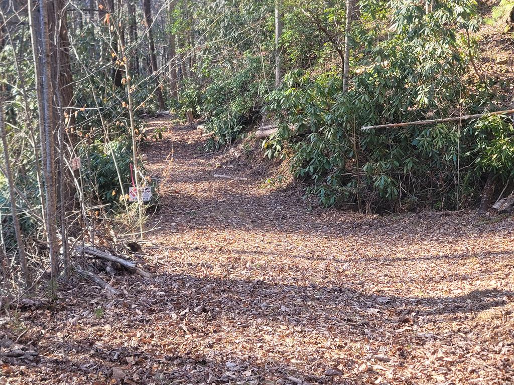 600 Berry Patch Road, MURPHY, North Carolina image 27