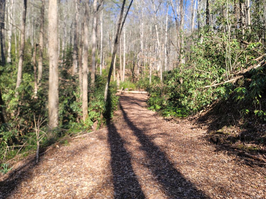 600 Berry Patch Road, MURPHY, North Carolina image 18