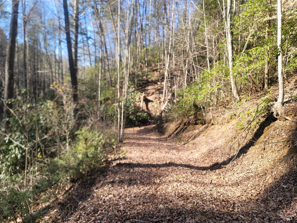 600 Berry Patch Road, MURPHY, North Carolina image 20