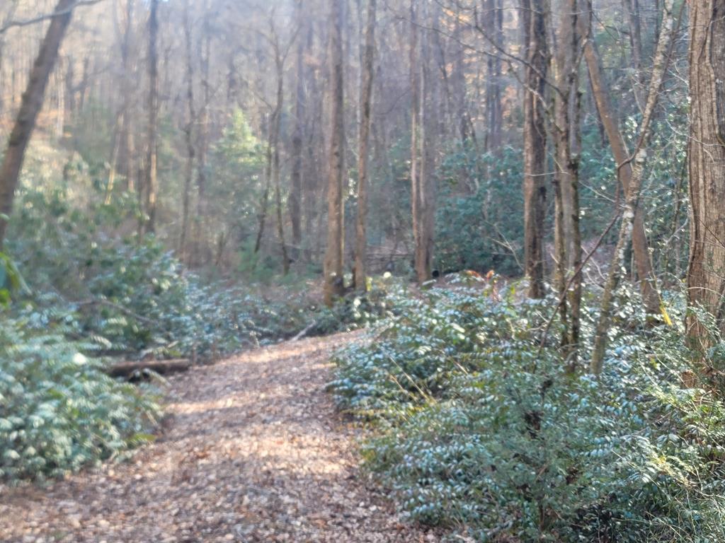 600 Berry Patch Road, MURPHY, North Carolina image 29