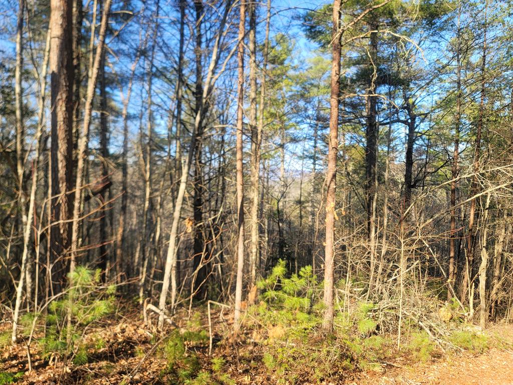 600 Berry Patch Road, MURPHY, North Carolina image 33