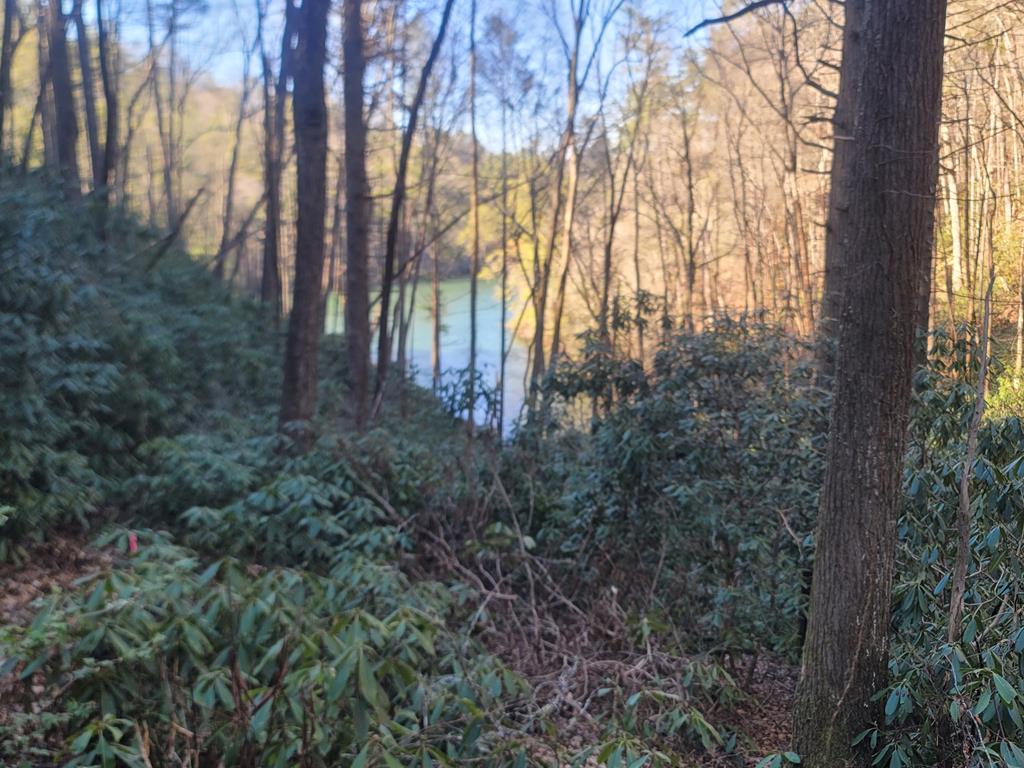 600 Berry Patch Road, MURPHY, North Carolina image 24