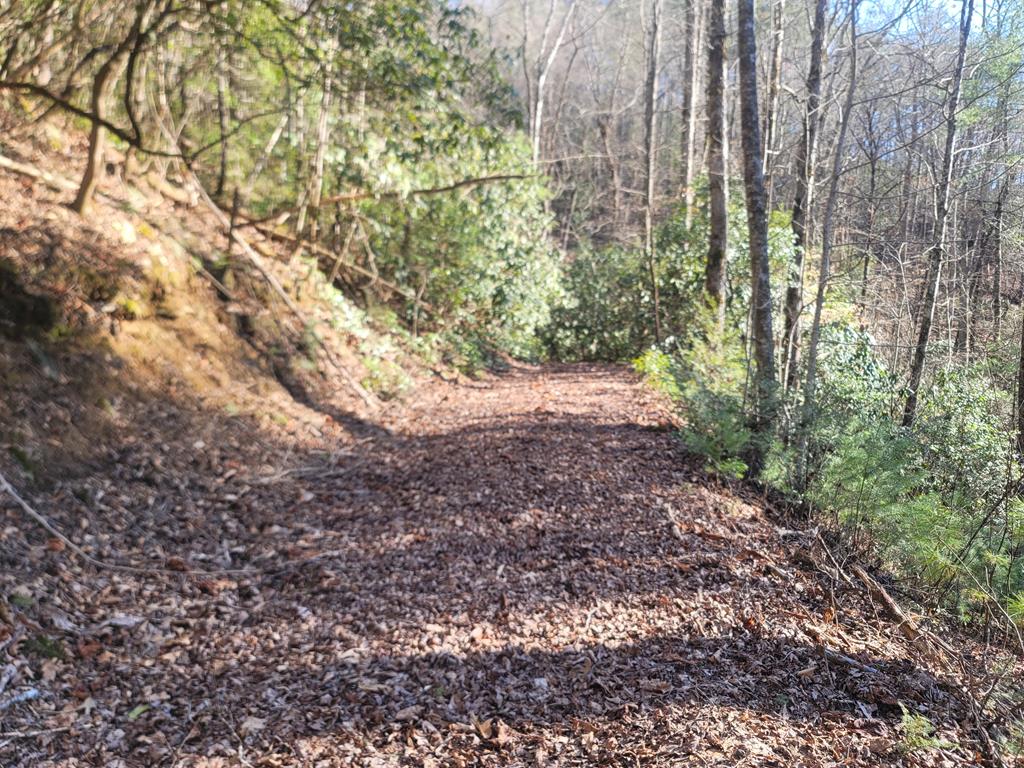 600 Berry Patch Road, MURPHY, North Carolina image 21