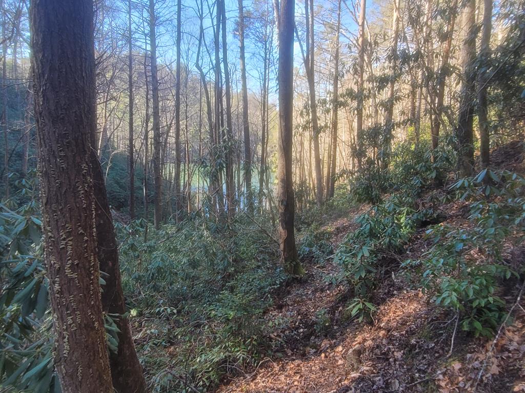 600 Berry Patch Road, MURPHY, North Carolina image 22
