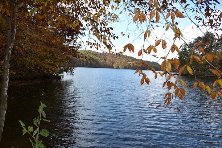 600 Berry Patch Road, MURPHY, North Carolina image 6