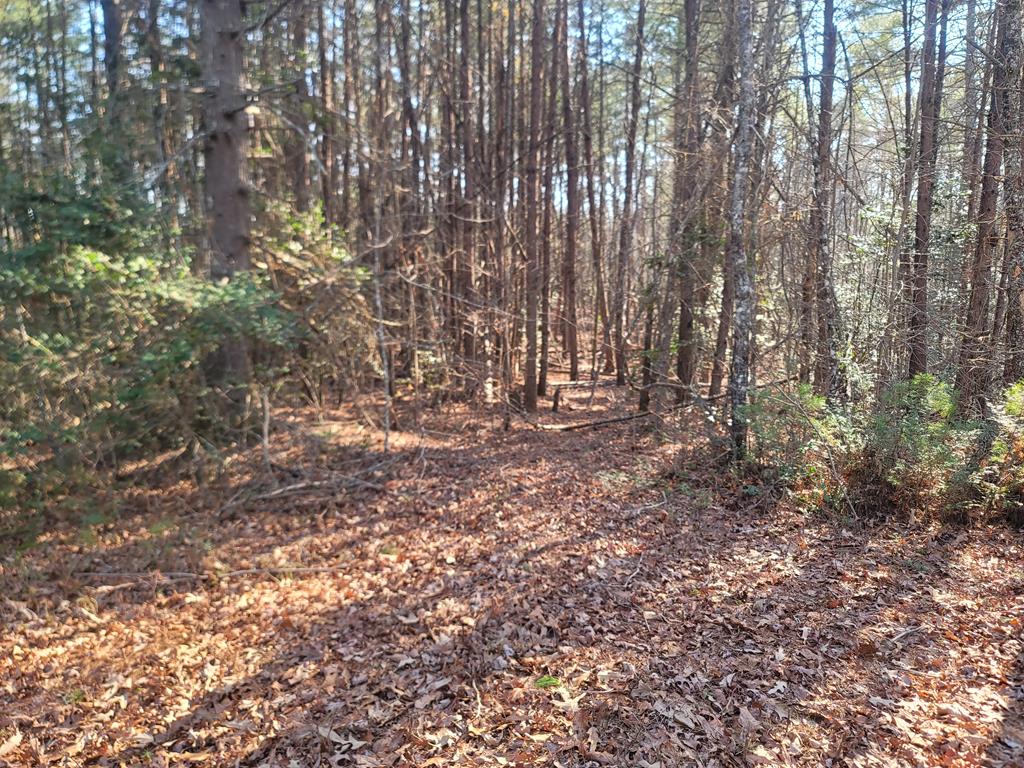 600 Berry Patch Road, MURPHY, North Carolina image 31