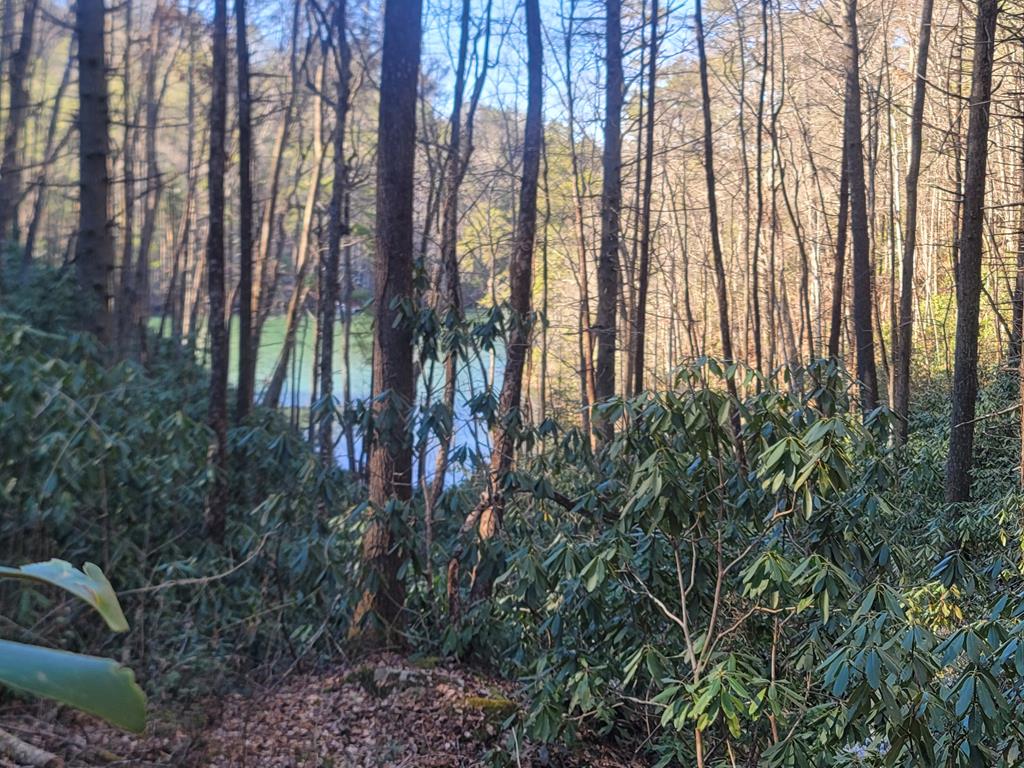 600 Berry Patch Road, MURPHY, North Carolina image 23