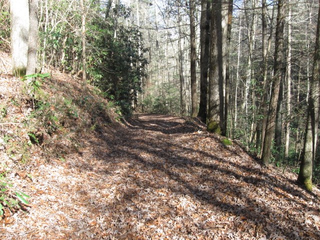 600 Berry Patch Road, MURPHY, North Carolina image 8