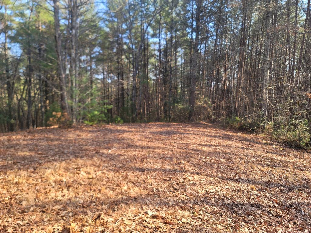 600 Berry Patch Road, MURPHY, North Carolina image 30