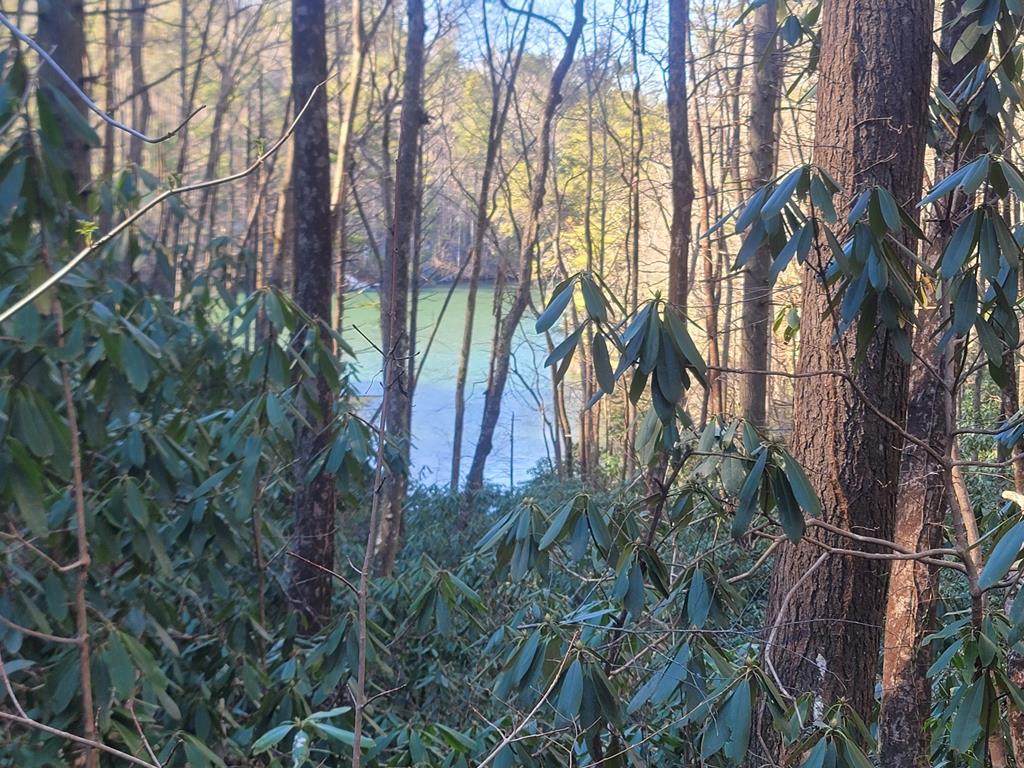 600 Berry Patch Road, MURPHY, North Carolina image 26