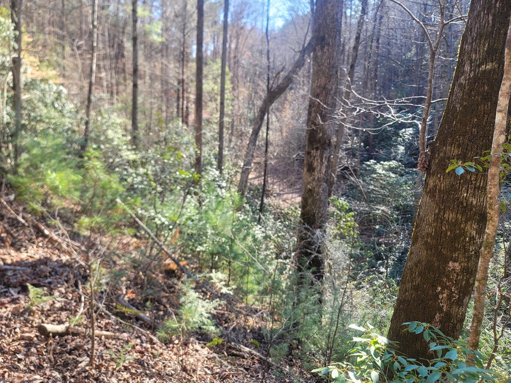600 Berry Patch Road, MURPHY, North Carolina image 19