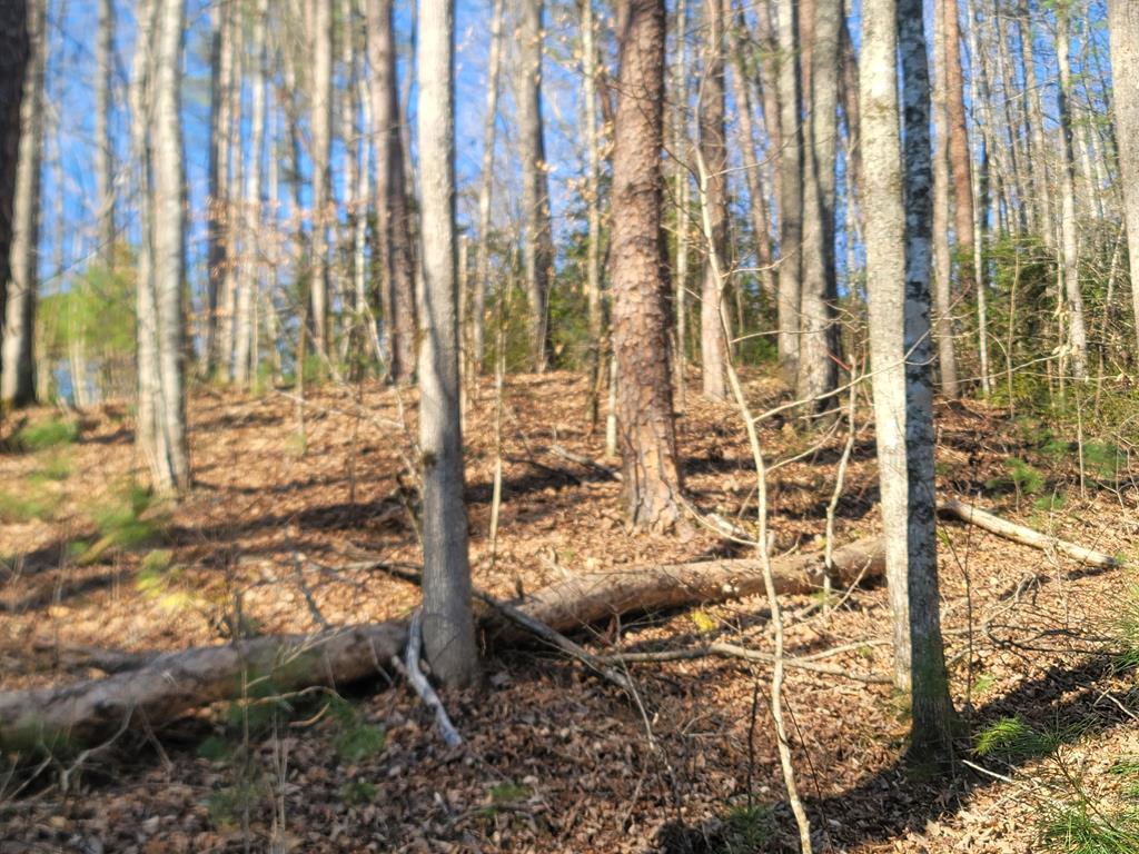 600 Berry Patch Road, MURPHY, North Carolina image 28