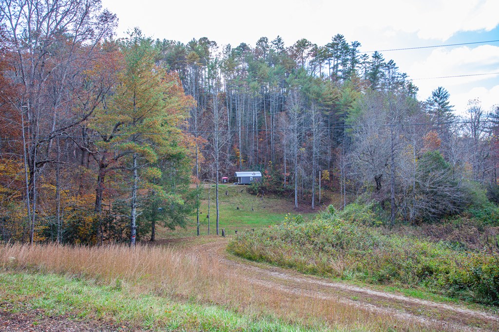 1490 Wells Rd, MARBLE, North Carolina image 8