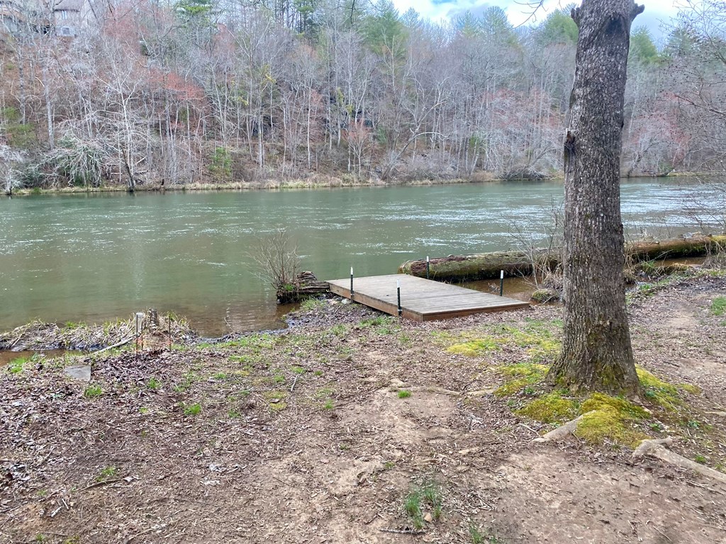 Lot 46 Trillium Heights, HAYESVILLE, North Carolina image 9