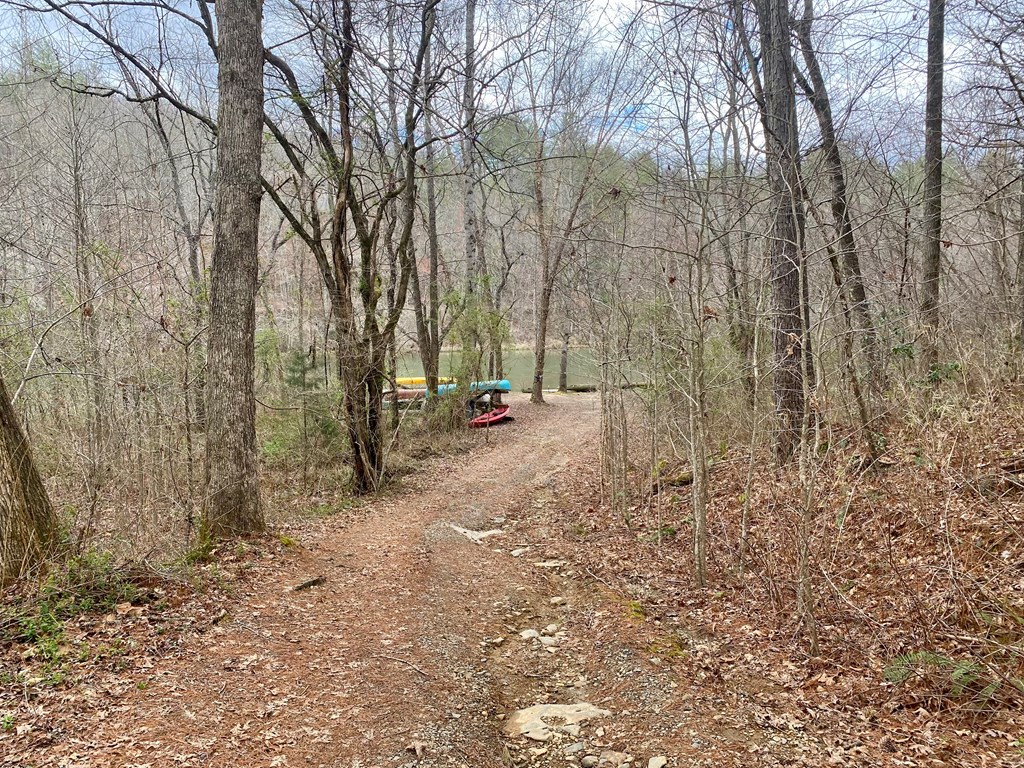 Lot 46 Trillium Heights, HAYESVILLE, North Carolina image 7