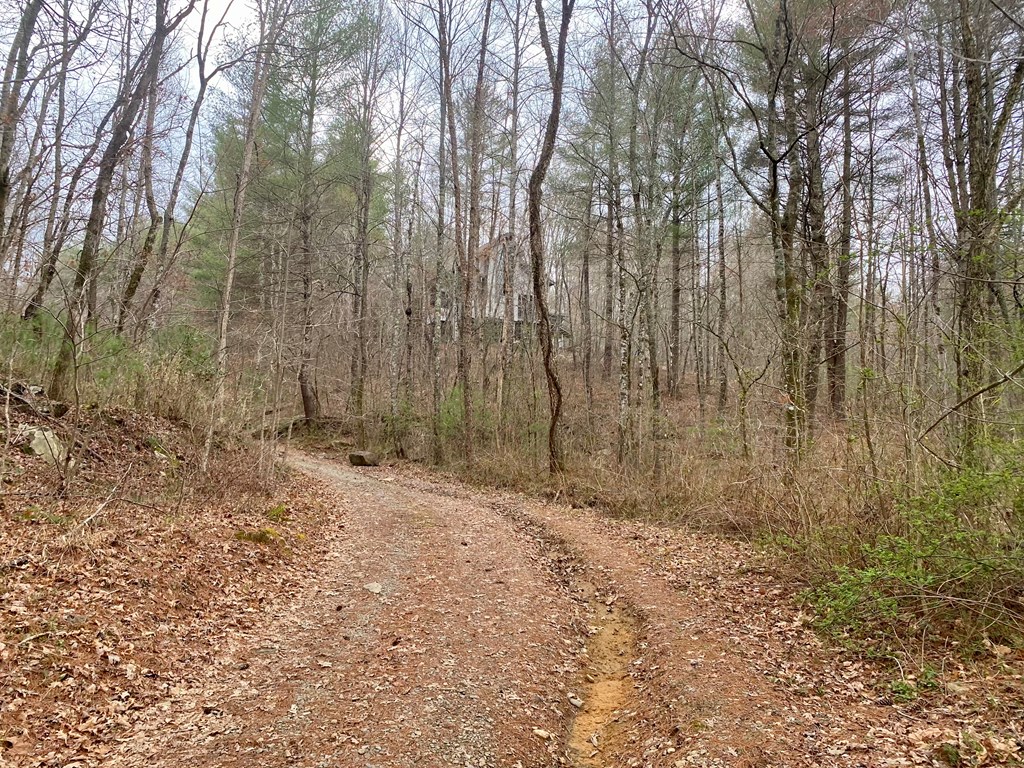 Lot 46 Trillium Heights, HAYESVILLE, North Carolina image 6