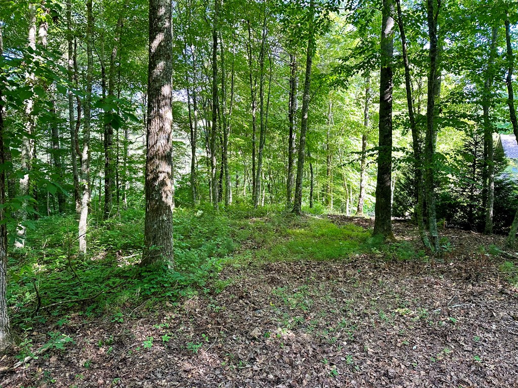 Lot 46 Trillium Heights, HAYESVILLE, North Carolina image 4