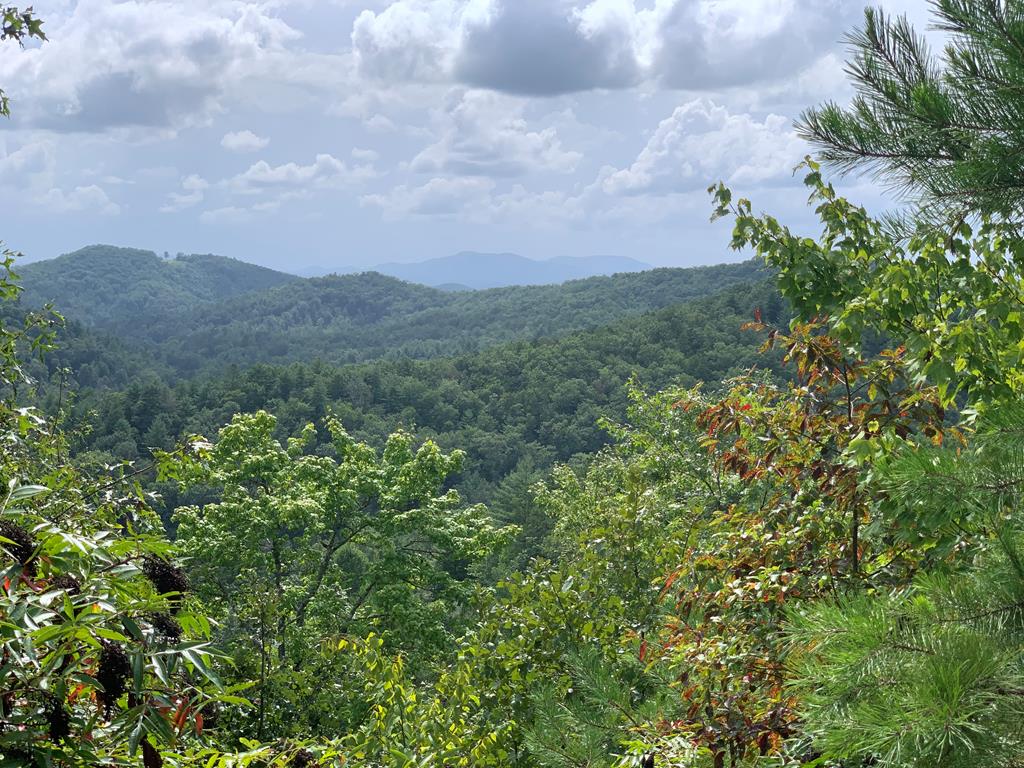 Lot 40 Stone Creek Falls #40, MURPHY, North Carolina image 1