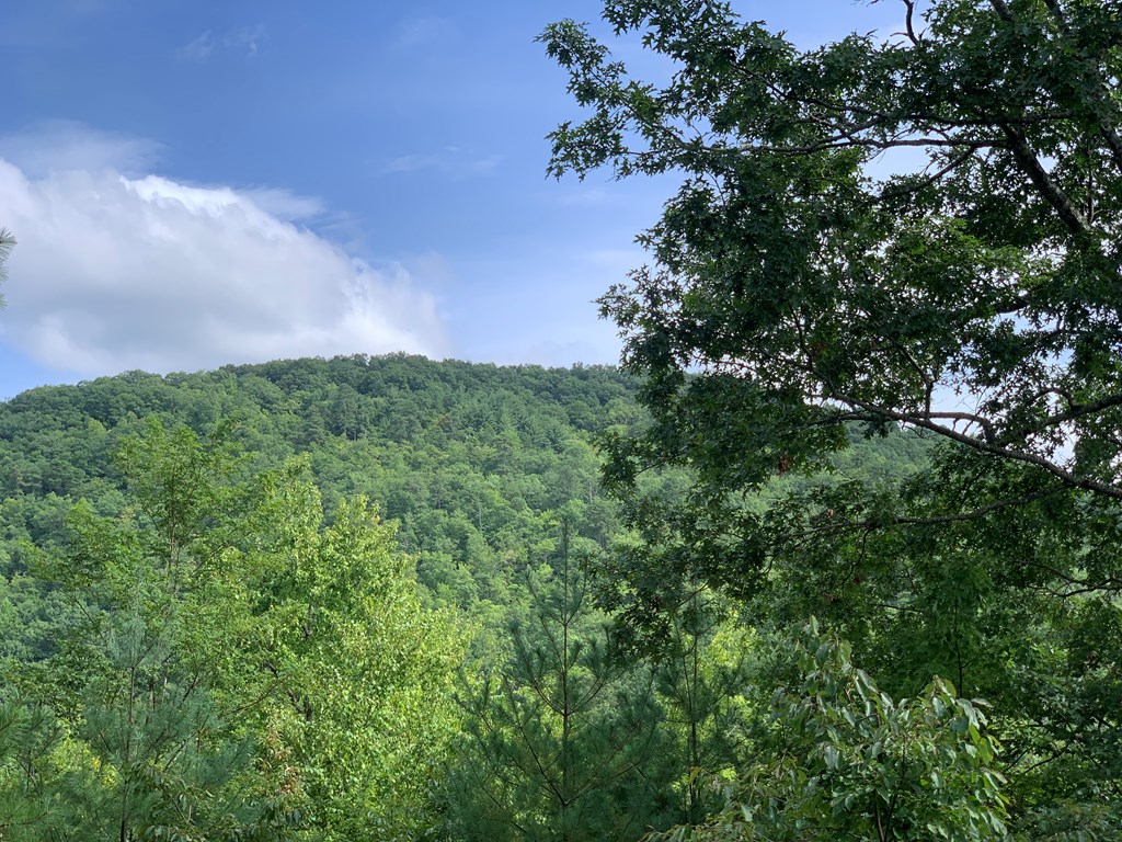 Lot 40 Stone Creek Falls #40, MURPHY, North Carolina image 2