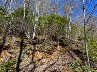 Lot 5 Sunset Vista Trail #5, TOPTON, North Carolina image 2