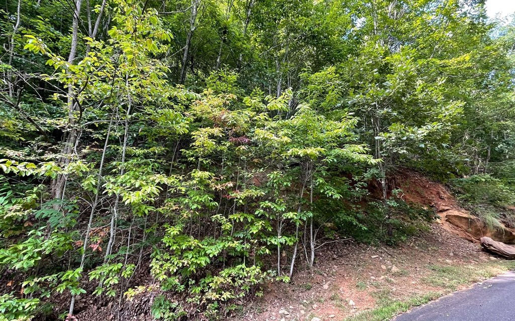 Lot 34 The Overlook At Young Harris #34, YOUNG HARRIS, Georgia image 4