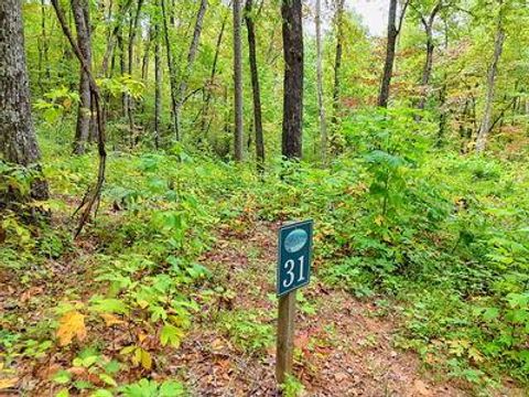 Vacant Land For Sale - LOT 31 Skyview Trail #31<br/> HAYESVILLE, NC 28904