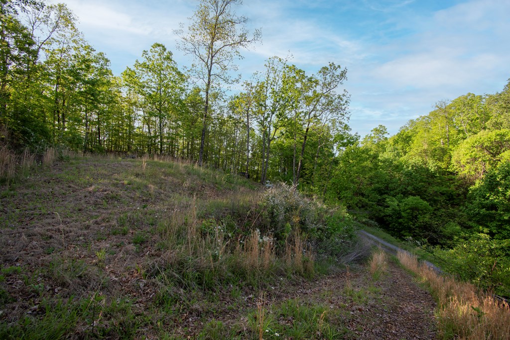 43/44 Timberwood Mountain Estates