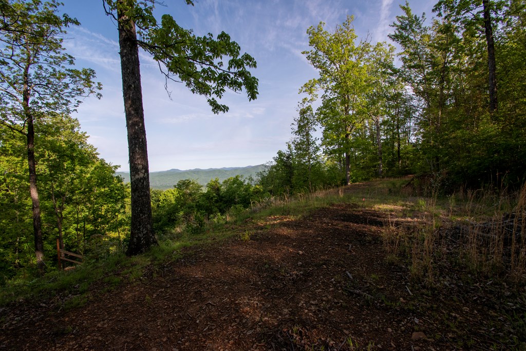 43/44 Timberwood Mountain Estates