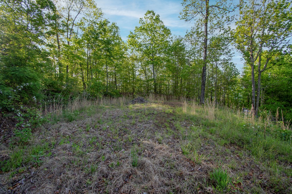 43/44 Timberwood Mountain Estates