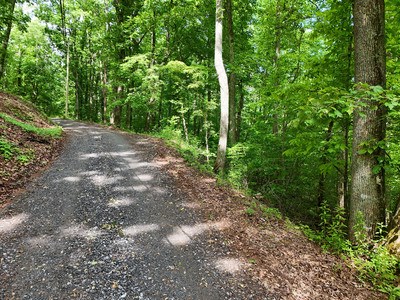 14B&14C Rainbow Ridge #14BC, HIAWASSEE, Georgia image 3