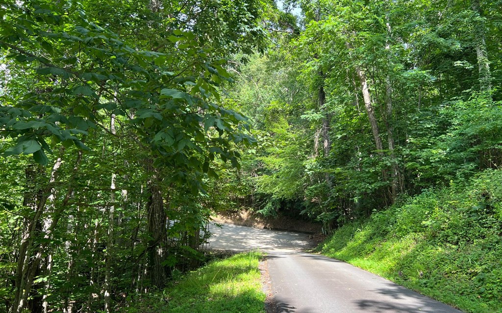 Lot 73 Eagles View #73, HAYESVILLE, North Carolina image 10