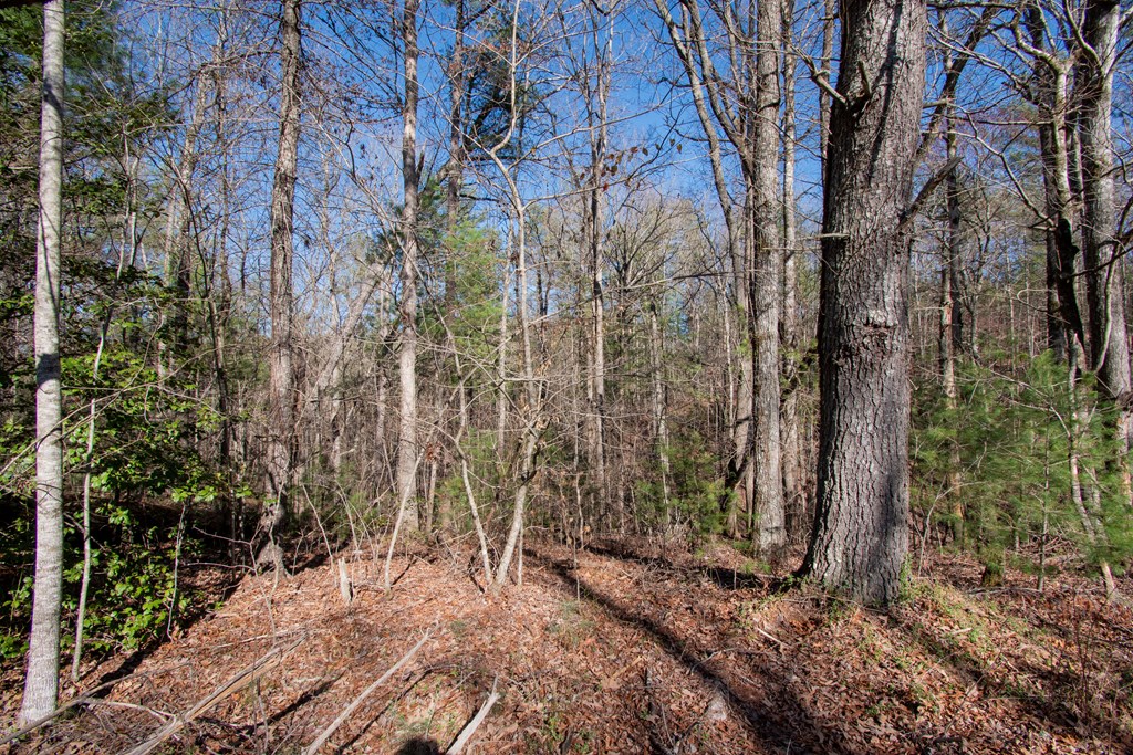 00 Old Forge Road, MURPHY, North Carolina image 4