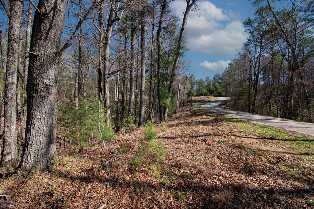 00 Old Forge Road, MURPHY, North Carolina image 3
