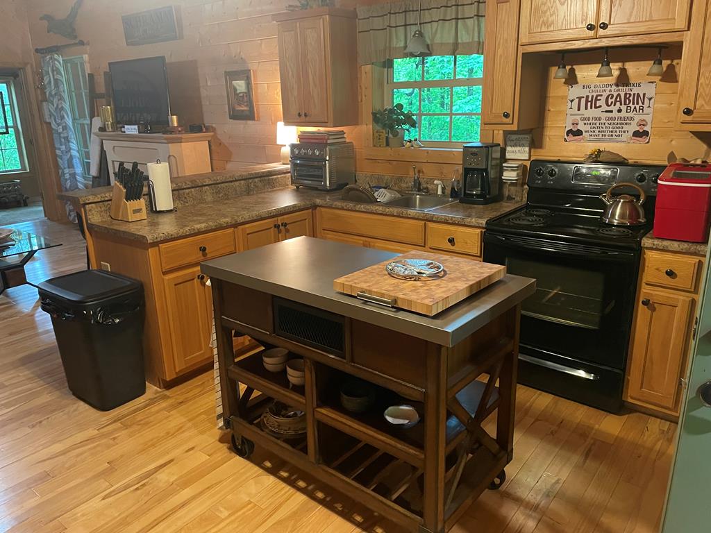 351 Wilderness Drive, HAYESVILLE, North Carolina image 2