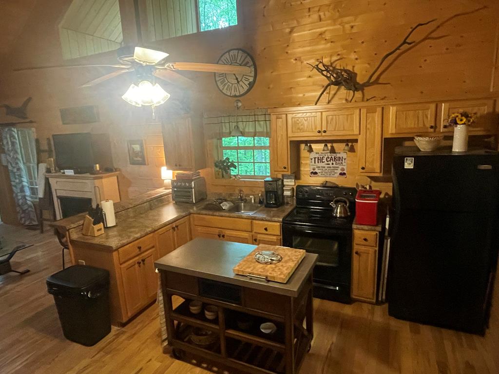 351 Wilderness Drive, HAYESVILLE, North Carolina image 3