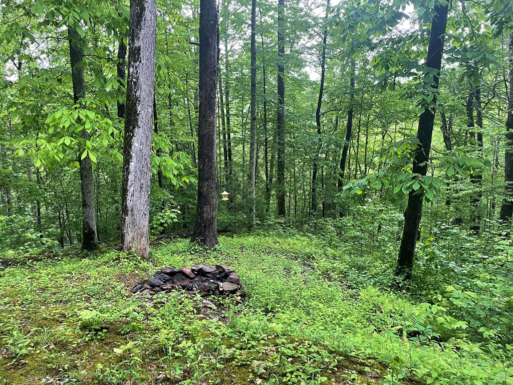 351 Wilderness Drive, HAYESVILLE, North Carolina image 10
