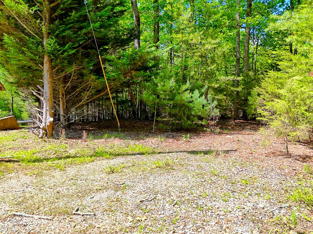 Lot 25 Davis Lane #25, BLAIRSVILLE, New York image 4