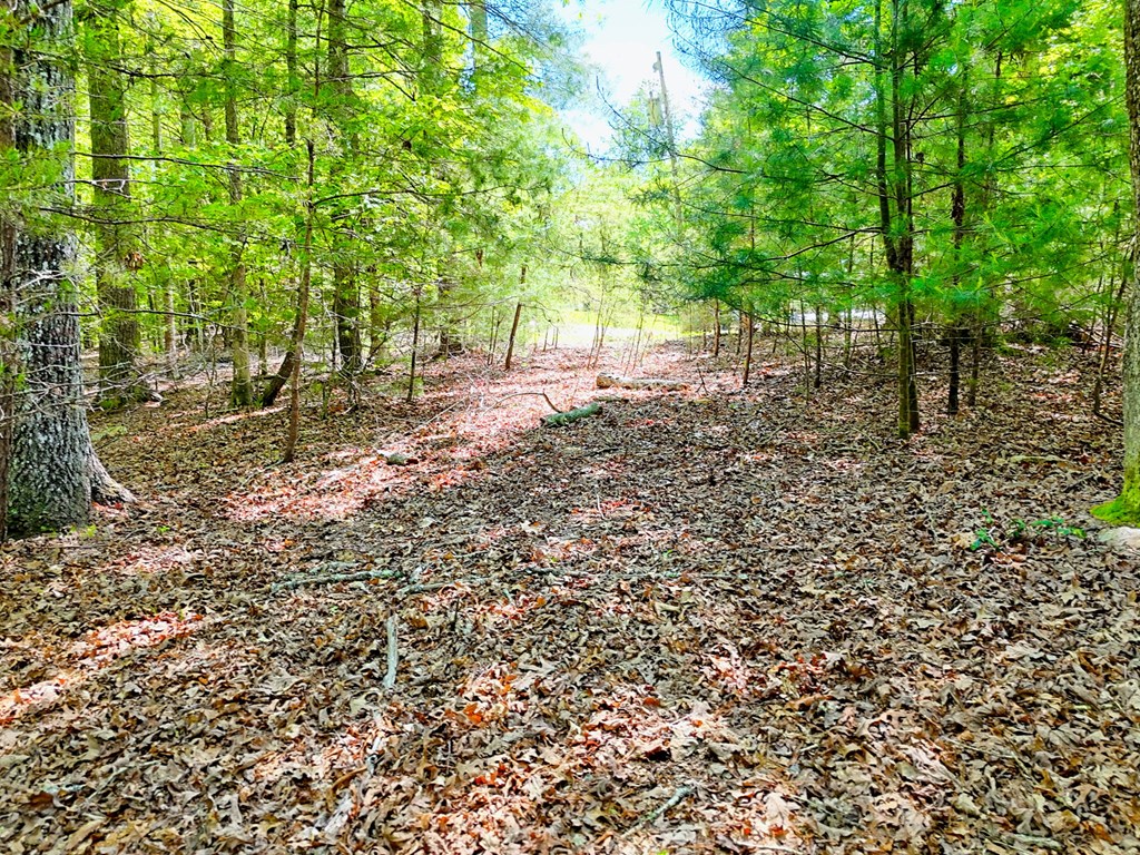 Lot 25 Davis Lane #25, BLAIRSVILLE, New York image 6
