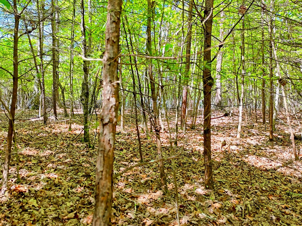 Lot 25 Davis Lane #25, BLAIRSVILLE, New York image 7