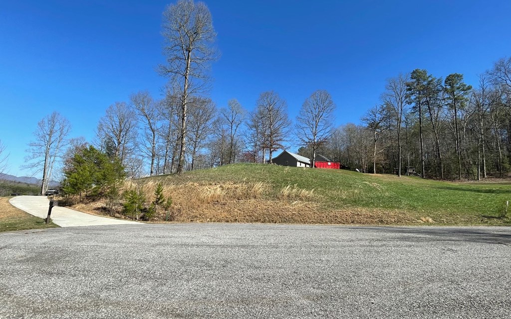 Lot 16 Pleasant Meadows #16, BLAIRSVILLE, Georgia image 14