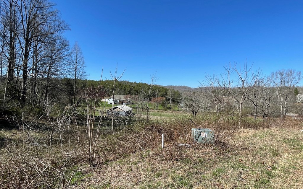 Lot 16 Pleasant Meadows #16, BLAIRSVILLE, Georgia image 12