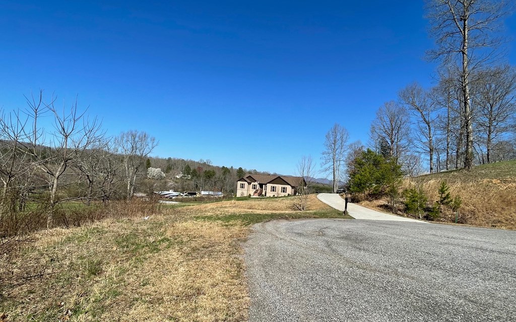 Lot 16 Pleasant Meadows #16, BLAIRSVILLE, Georgia image 13