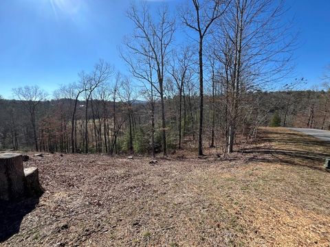 Vacant Land For Sale - 17 Fish Hawk Ridge #17<br/> MURPHY, NC 28906