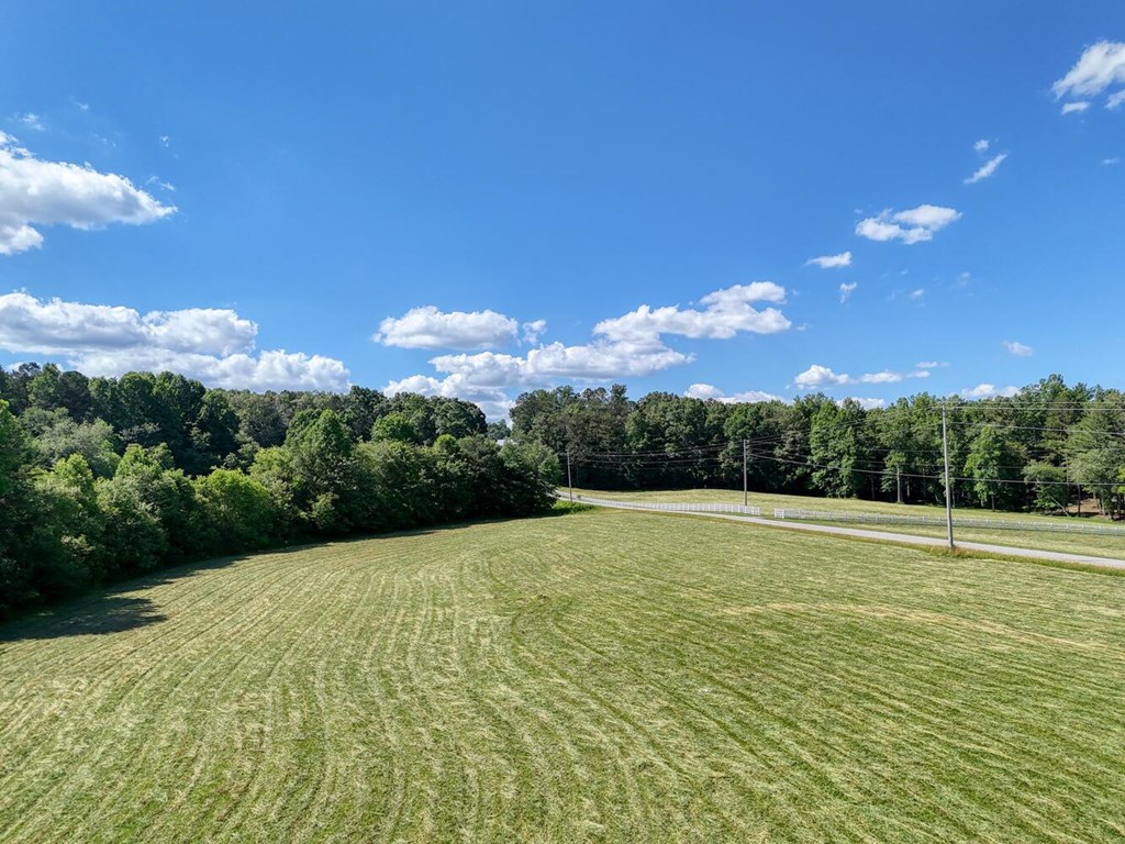 6AC Pleasant Church Road #TRACT, BLAIRSVILLE, Georgia image 14