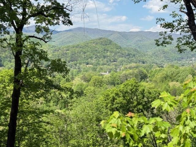 Photo 1 of 11 — Lot 43 Silo View Unit 43, MARBLE, NC 28905
